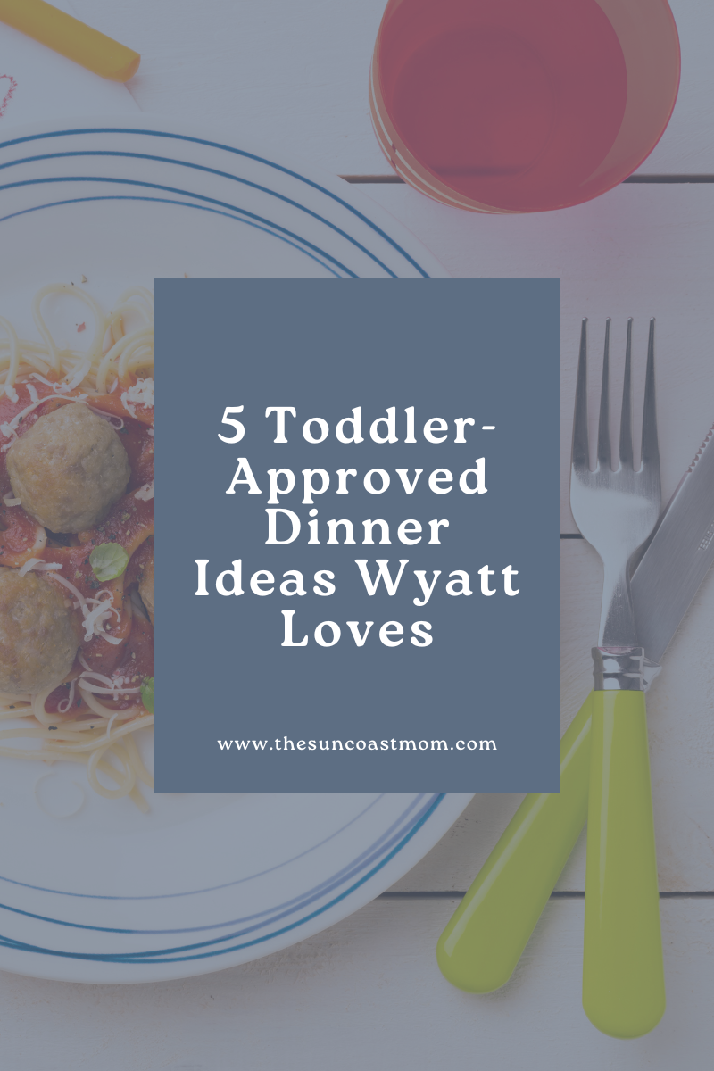 5 Toddler-Approved Dinner Ideas Wyatt Loves